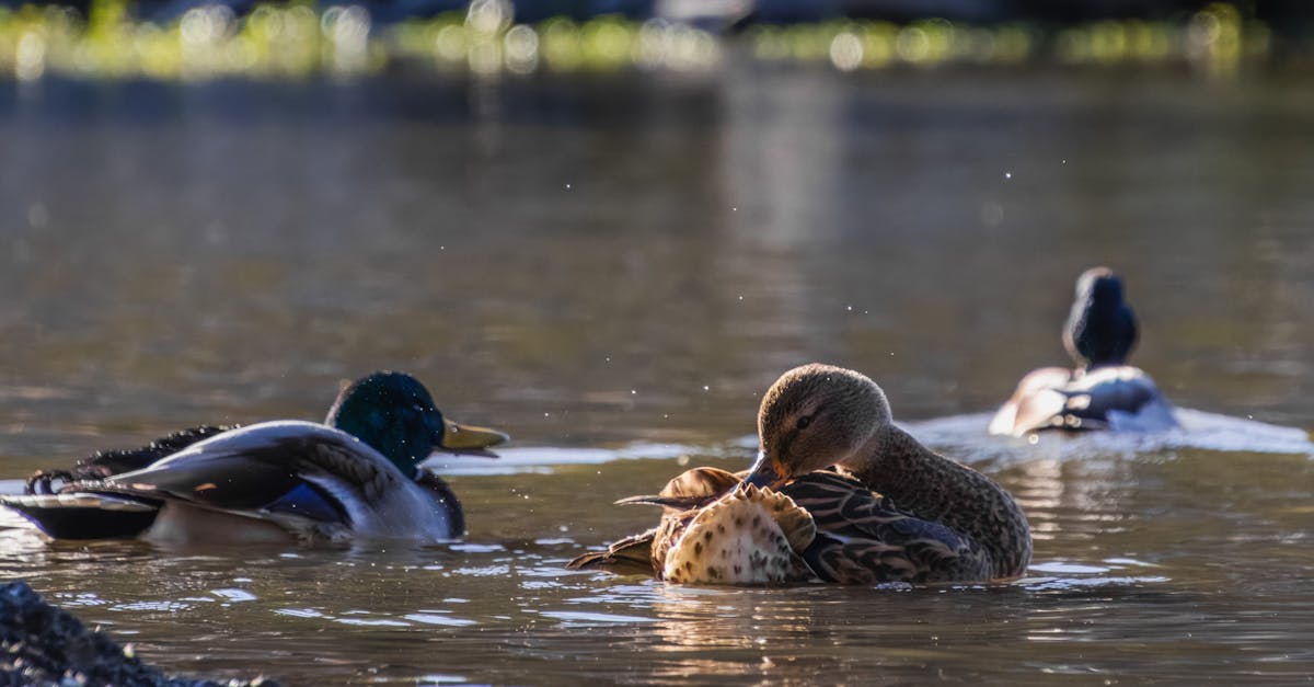 découvrez notre homepage : votre point d'accès idéal pour explorer nos services, actualités, produits et offres exclusives. naviguez facilement et trouvez rapidement ce dont vous avez besoin pour une expérience utilisateur optimale.